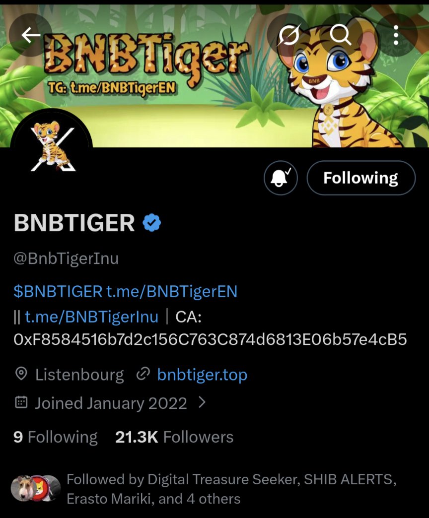 VictorJohn999's tweet photo. @BnbTigerInu All done ✅
This is why I believe in BNBTiger 🐯❤️
Even while the market is down, BNBTiger stays strong and keeps rewarding the community 💪🔥
Real rewards. Real community. Real Christmas joy 🎁🎄
Let’s eat together fam 🚀🔥 @Storyzajacob @ErastoMariki @KeryJames https://t.co/gLoPRYpshb