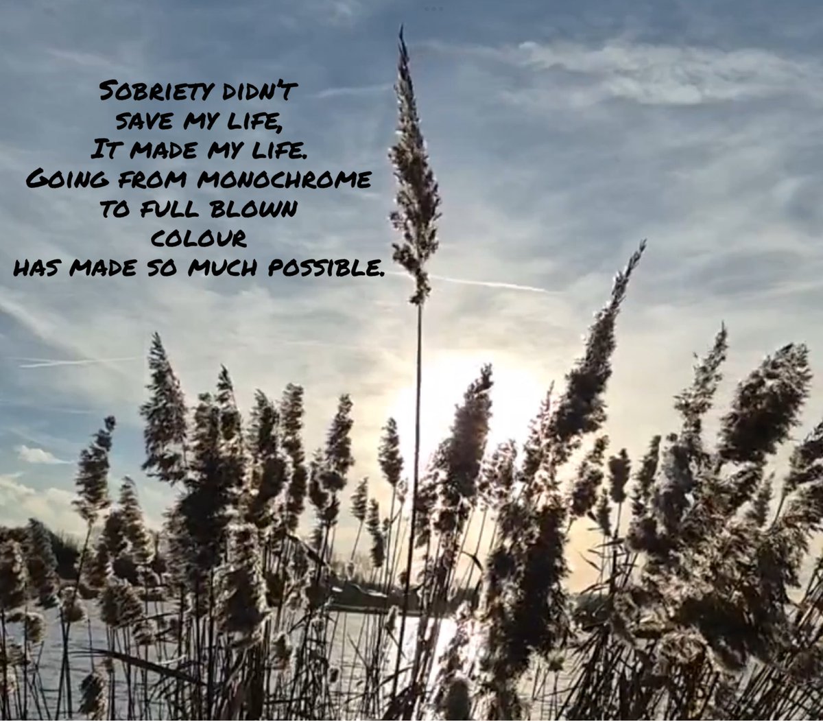 I love sobriety and this time of year.
Proud of what I have achieved and proud of those I can help.
21 years, one day at a time.