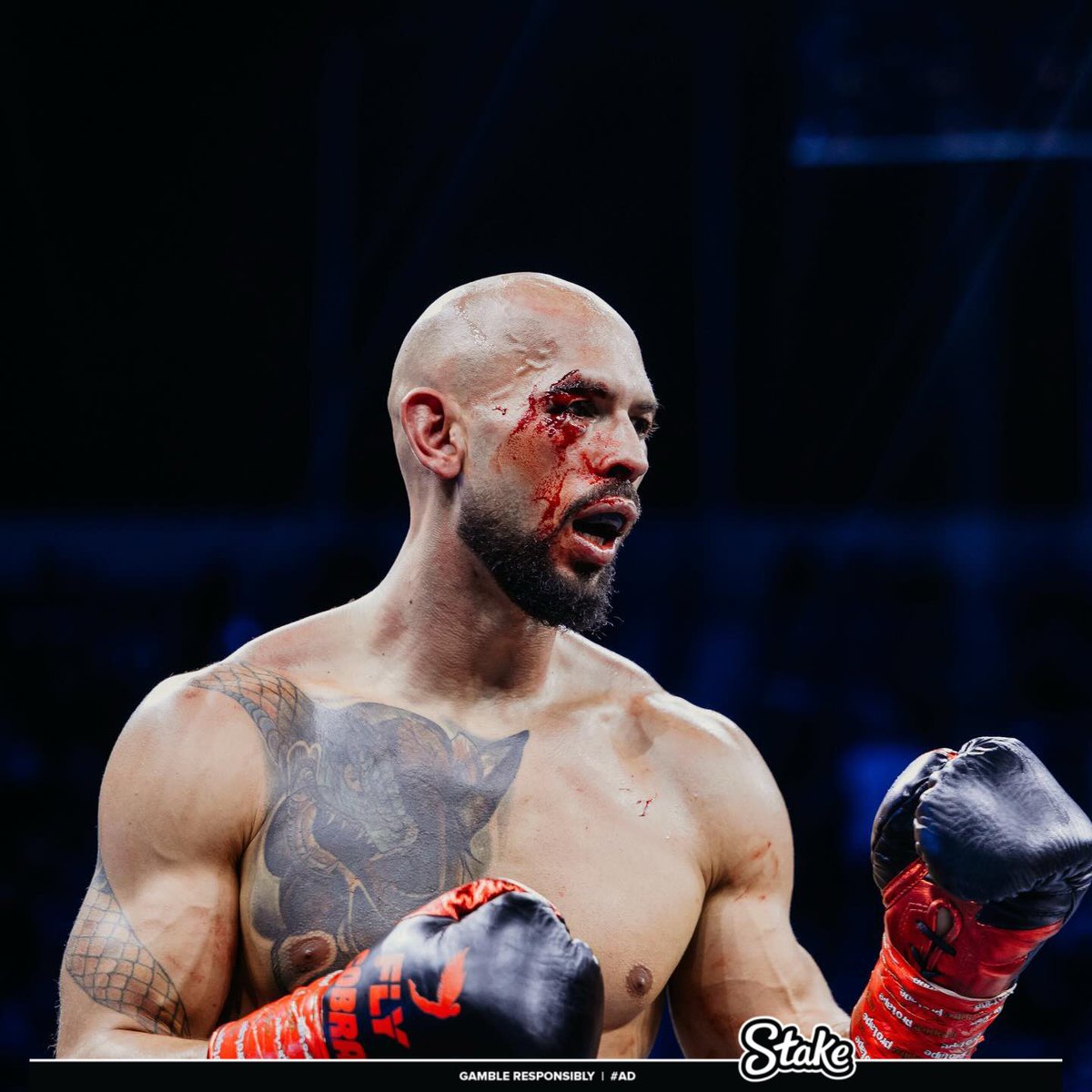 Tate News tweet media