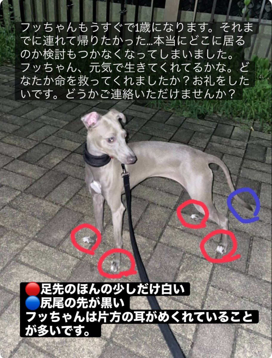 にこまる (@6yQgZFNMNk76215) / Posts / X