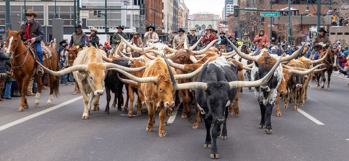 CU Denver Alumni tweet media