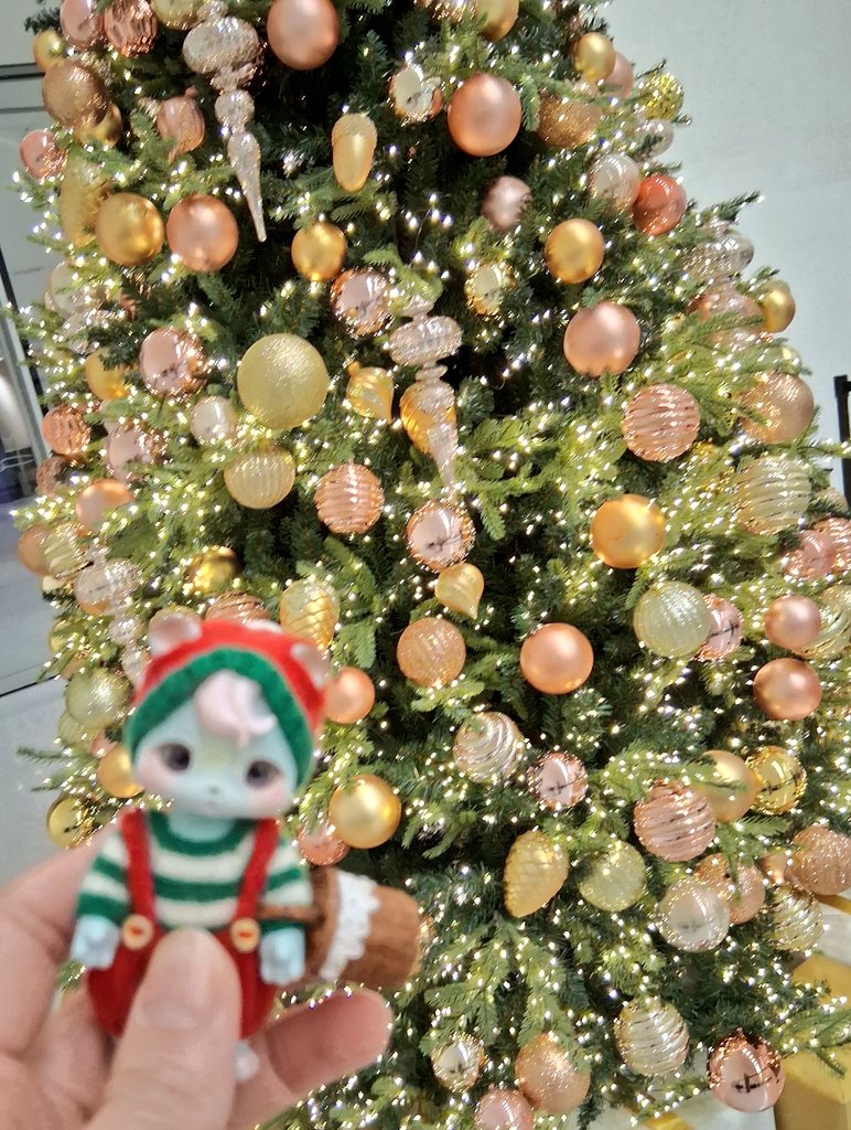 어제 행사장에서 뵜던 분들 다들 반가웠어요^^ 지름들도 자랑하고 구경하고 재밌었습니다~~ 내일 재고의상과 트리니트주말제작 한두벌 추가해서 판매글 올리겠습니다 ✨️
와주셔서 감사했어요♡

사진..날찍는거냐 트리를 찍는거냐🐻