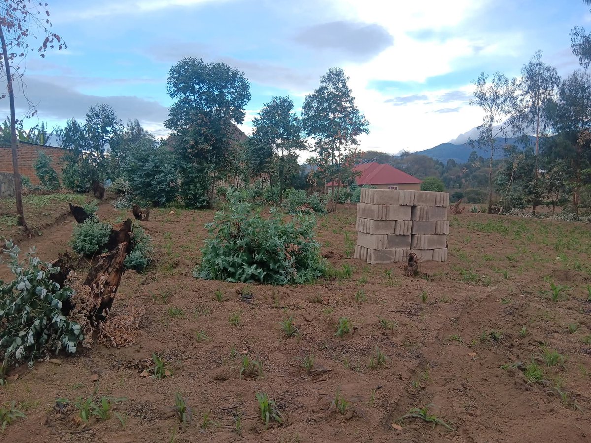 Kiwanja kinauzwa kipo usagatikwa ukisha vuka ivumwe au kigamboni mbeya mjini kina sqm 500 ukubwa na hatua 20 kwa 30 kikubwa kipo rod kabisa bei nzuri sana tsh 5.5mil njoo na posho ya dalali nipigie 
0765912976
Job Mbeya Jiji Letu