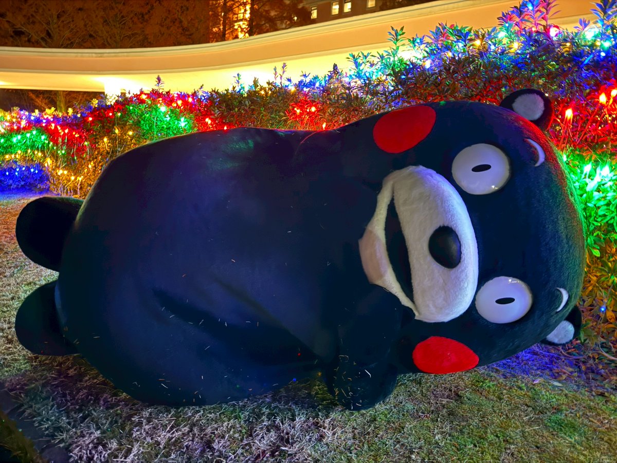 くまモン【公式】 (@55_kumamon) / Posts and Replies / X