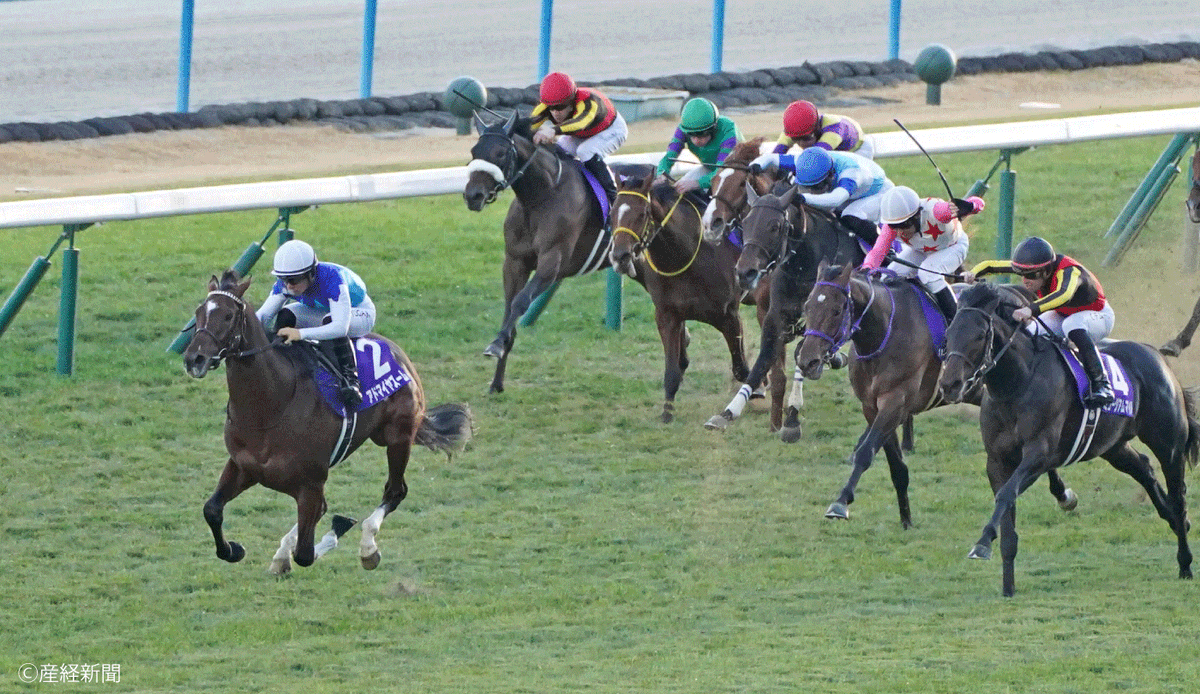 朝日杯フューチュリティステークス】過去10年の3着以内は1頭だけ