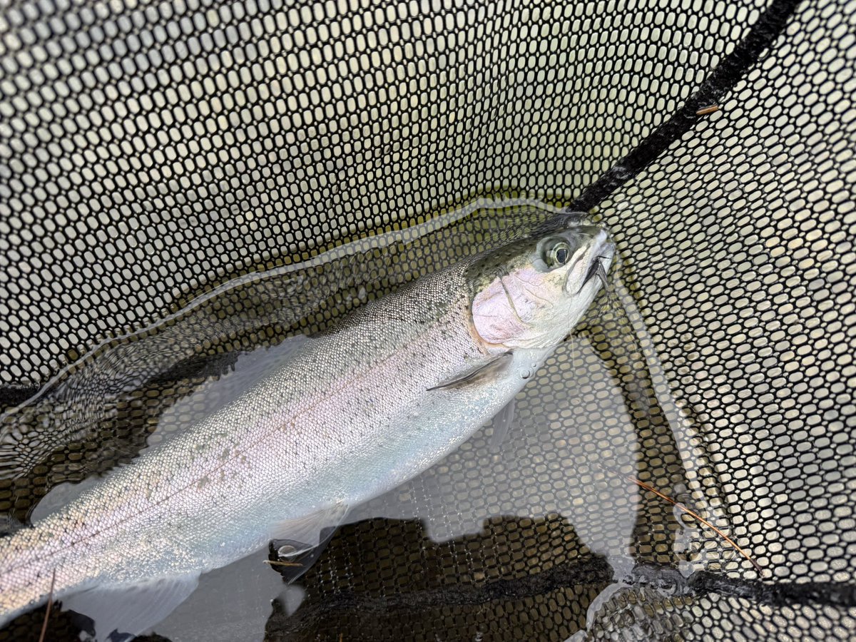 まる (@maru14_fishing) / Posts / X