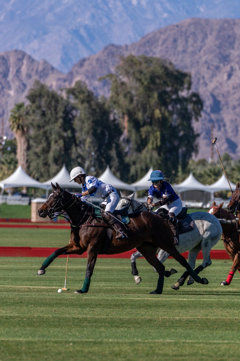 US Polo Association tweet media