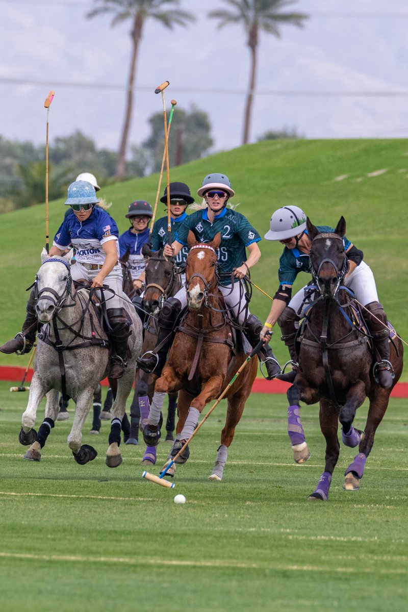 US Polo Association tweet media