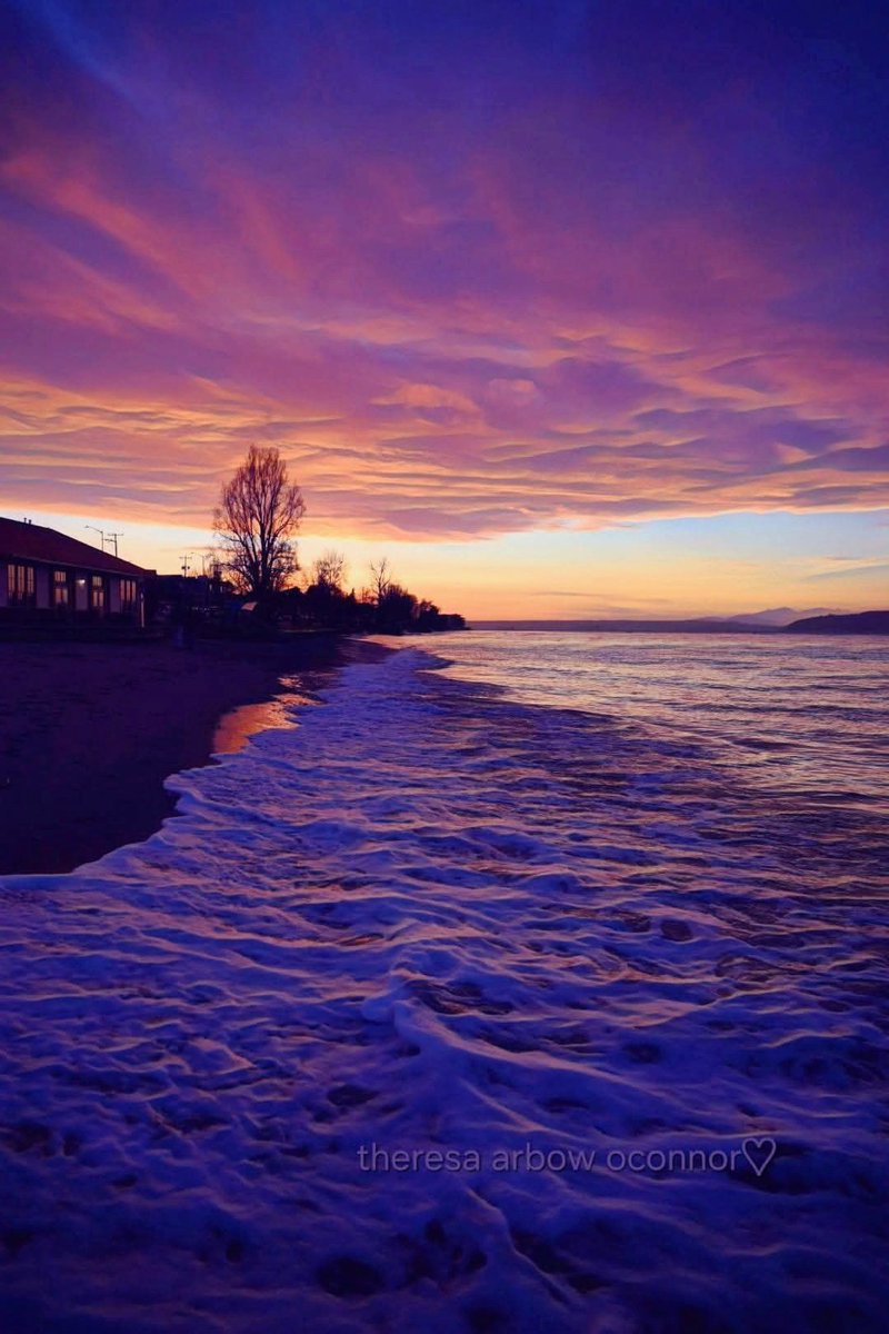 May you find peace in the promise of the #Solstice night
That each day forward is blessed with more light 
Rejoice in the darkness, in the silence, find rest
may the days that follow be abundantly blessed... ♡
 author unknown~