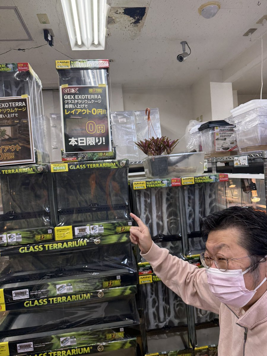 cohshow's tweet image. スーパーレイアウターによる毎年恒例の太っ腹大人気企画も⚡️⚡️本日限り‼️
#GEX
#EXOTERRA
#木村浩章