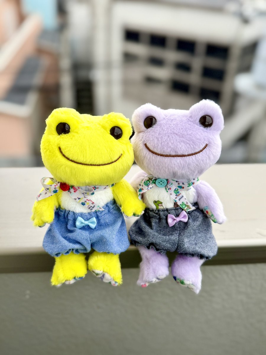 おはようございます☀️ 沢山寝てスッキリ🥱 天気は良くなさそう