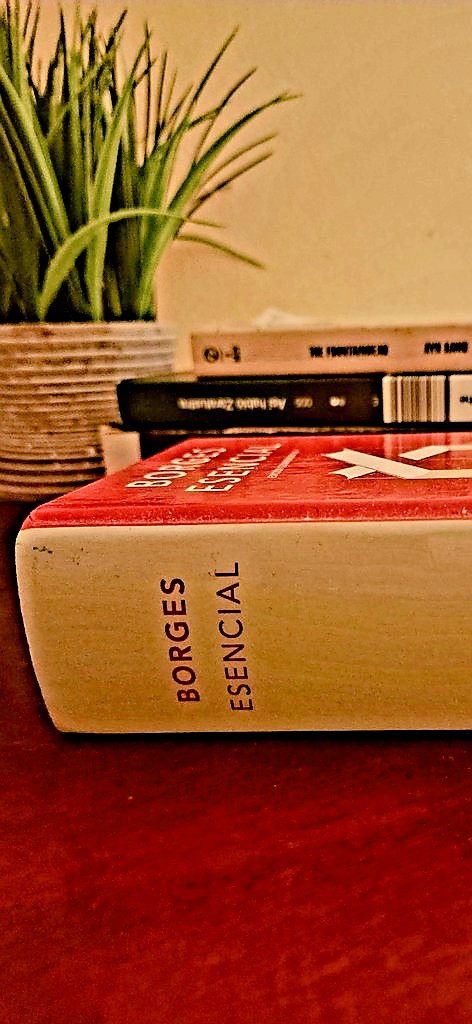 Indomable (@indomableeeeeee) on Twitter photo 