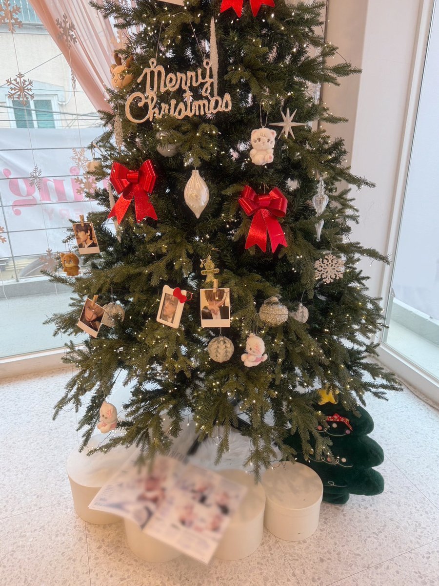 밤비와 크리스마스 파티🎄 tweet media
