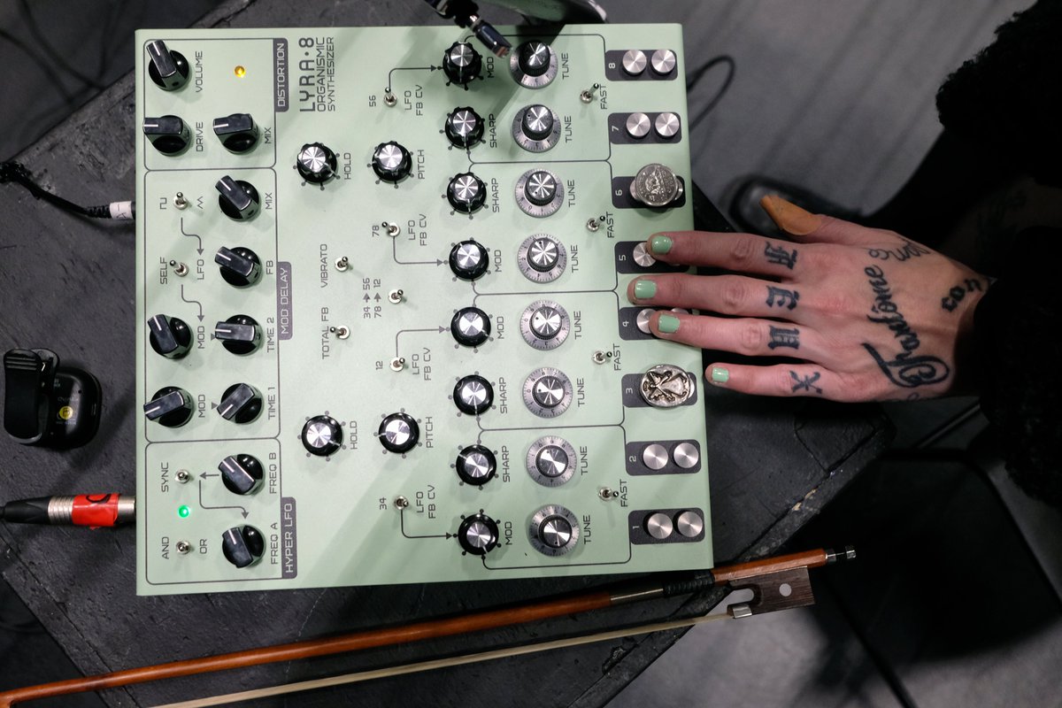 𝕮𝖆𝖗𝖔𝖑-𝕬𝖓𝖓 𝕭𝖊𝖑𝖟𝖎𝖑-𝕹𝖔𝖗𝖒𝖆𝖓𝖉 tweet media