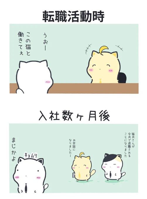 面接官で転職先を決めてはいけない理由 