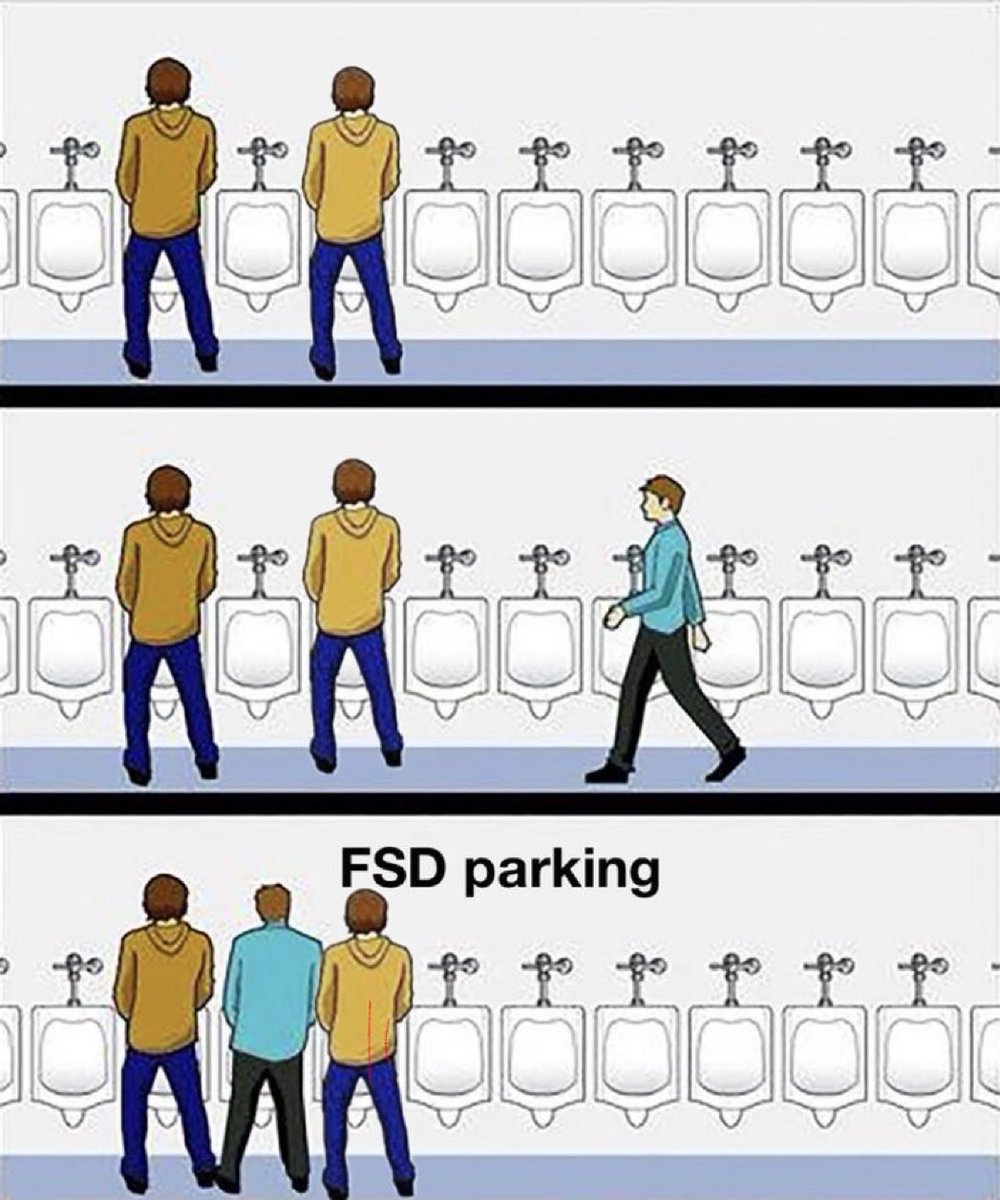 FSD Yinzer tweet media