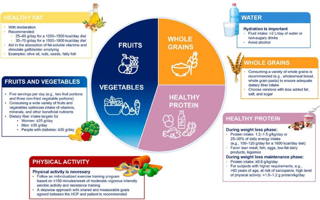 Healthy Diet Plate For Weight Management On GLP-1 based therapy
