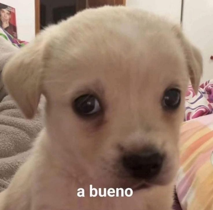 a si estoy con que haya "ganado" cosmic kid 
#ParenseDeManos