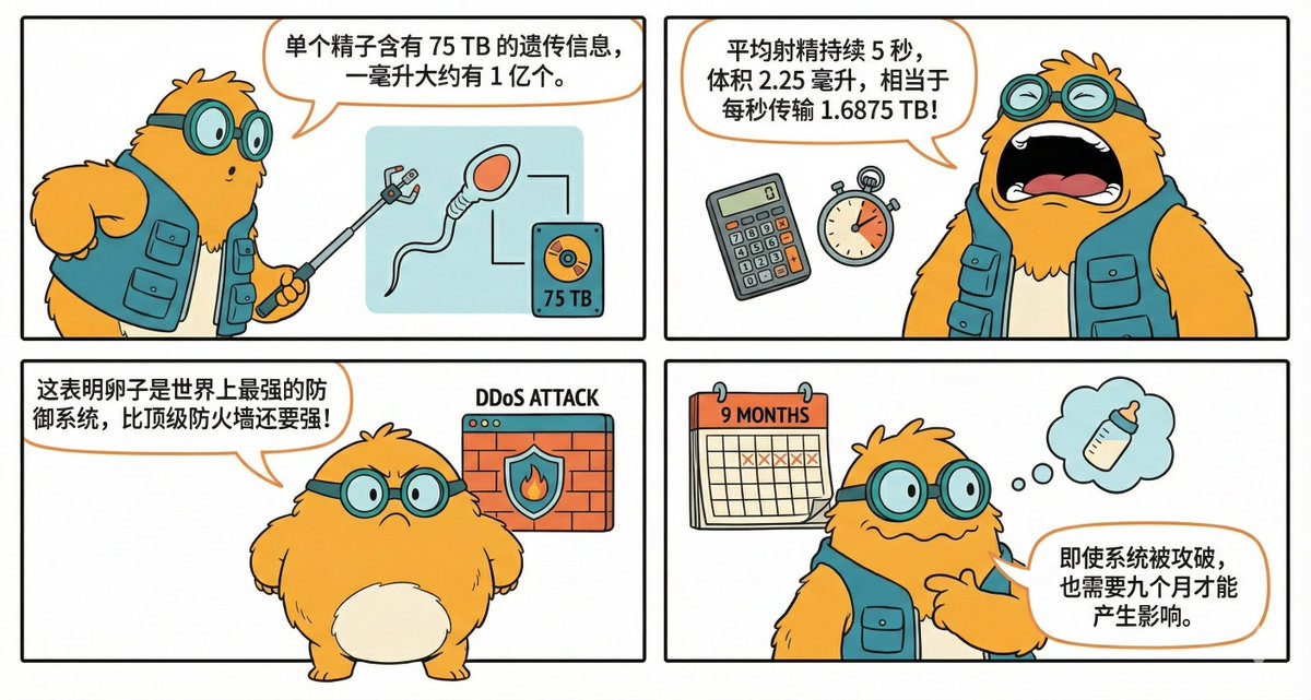 世界上最强的防御系统🤣