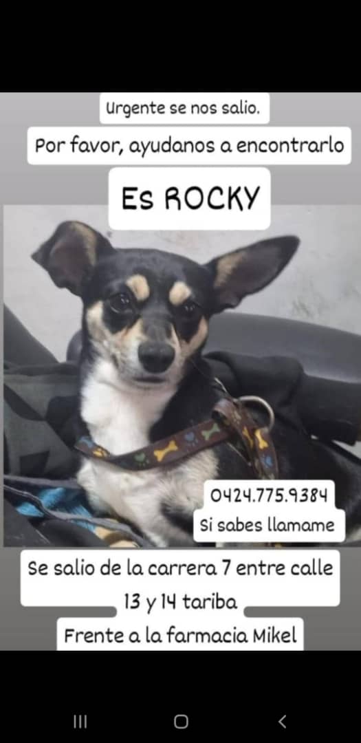 Atención Se Busca. Táriba.