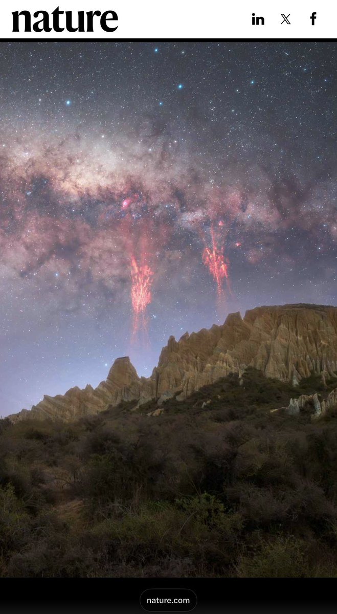 campiche_sarah's tweet image. Les “red sprites”, ces éclairs rouges ultra-brefs qui jaillissent au-dessus des orages, ont été photographiés en Nouvelle-Zélande : un phénomène rare, visible quelques millisecondes.
Cette image fait partie des plus belles photos scientifiques 2025 sélectionnées par Nature.