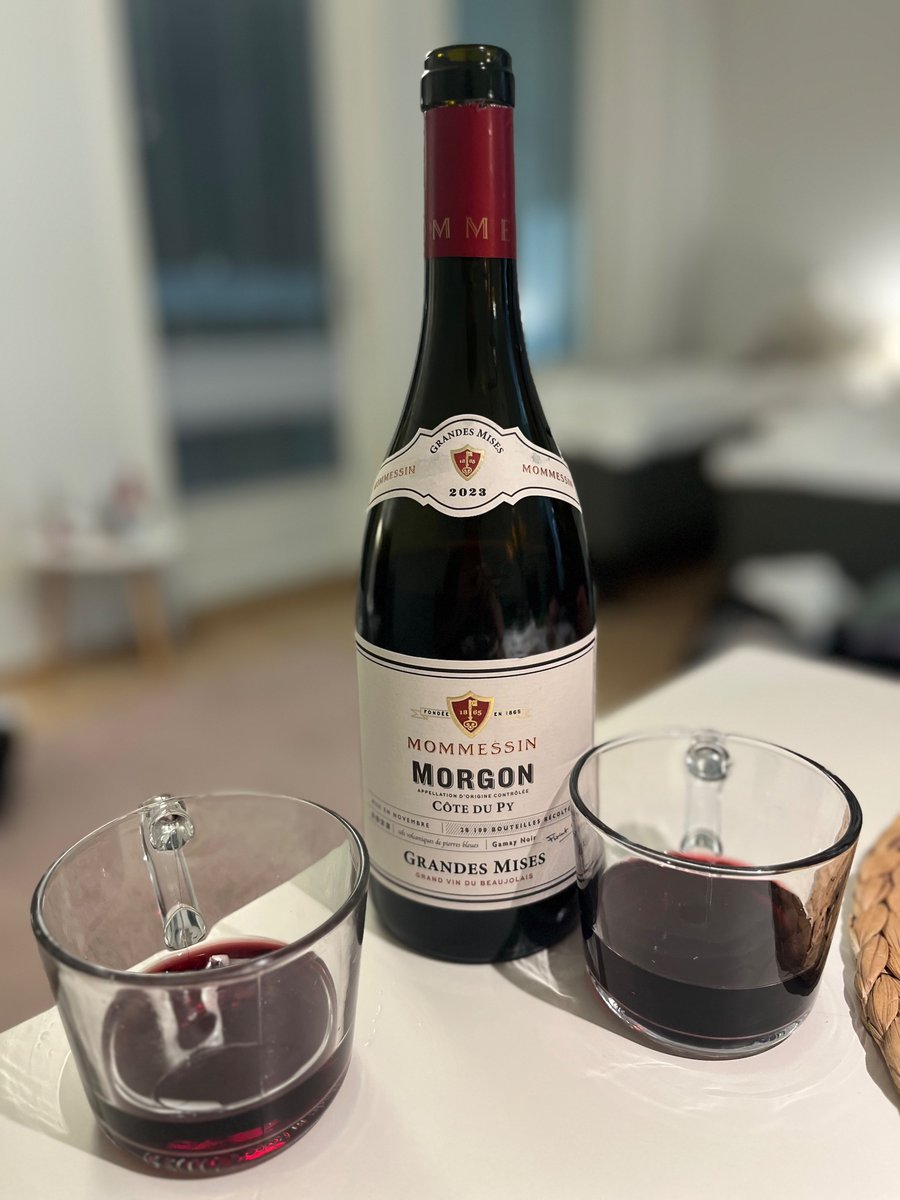 a vida, tal qual este airbnb, pode sim muitas vezes ser definida como um Morgon - Cru Beaujolais ™  na xicrinha de vidro transparente da IKEA