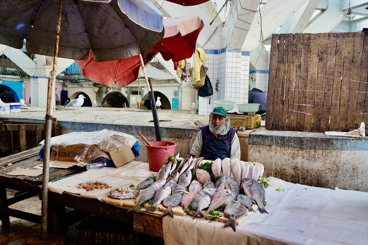 Essaouira 🇲🇦