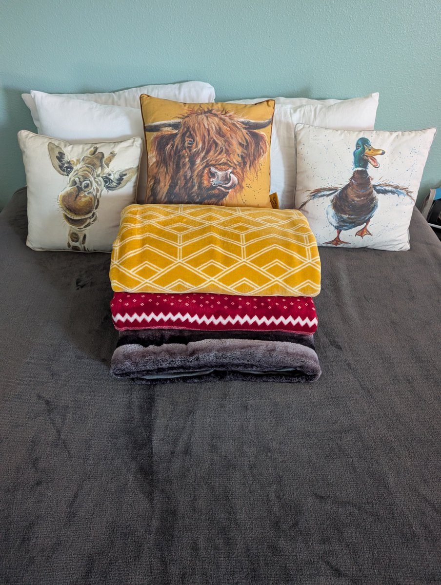 IMake_MyBed's tweet image. Ready for snuggles!
#snuggles #madebed #bedroominspo #blankets #imakemybed