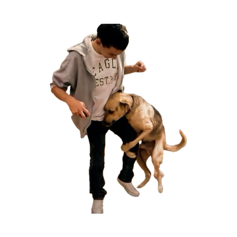 somecallmemoses's tweet photo. @jakepaul https://t.co/0dKeTAzzIm