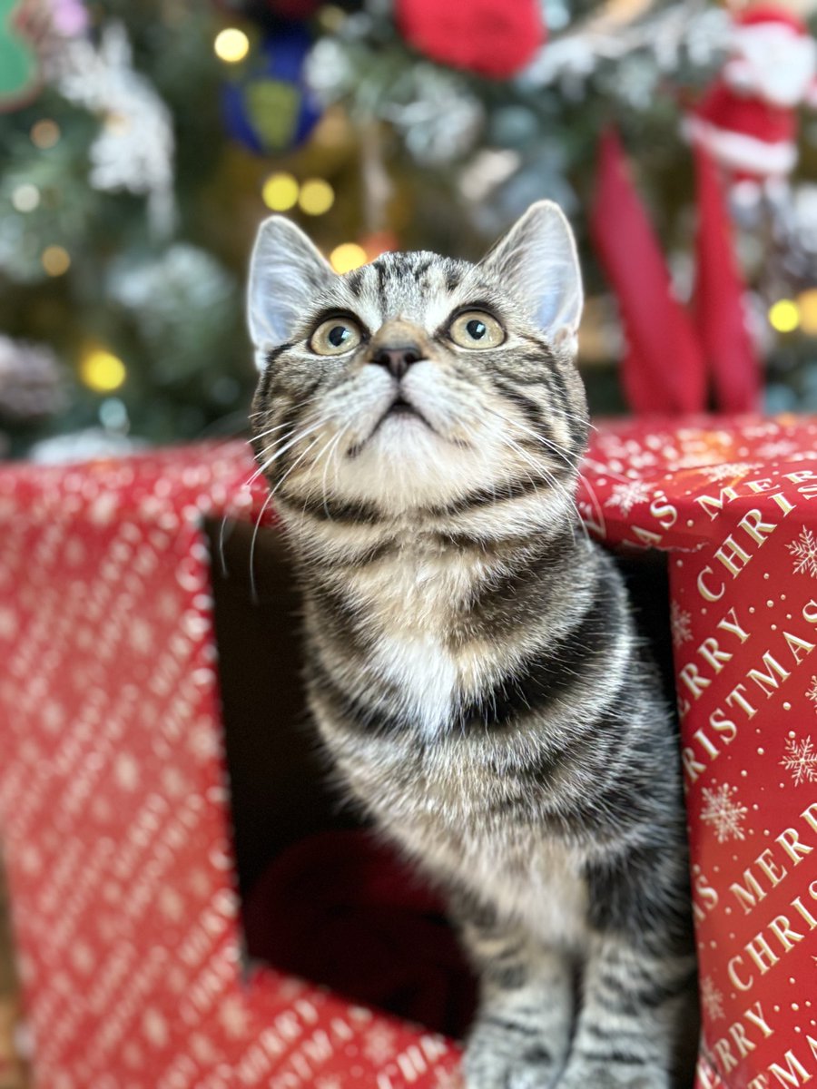 Geog with Sloggs tweet media