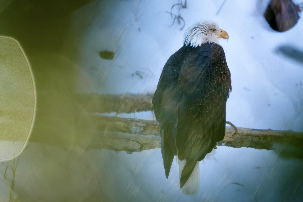 Craig Coker tweet media