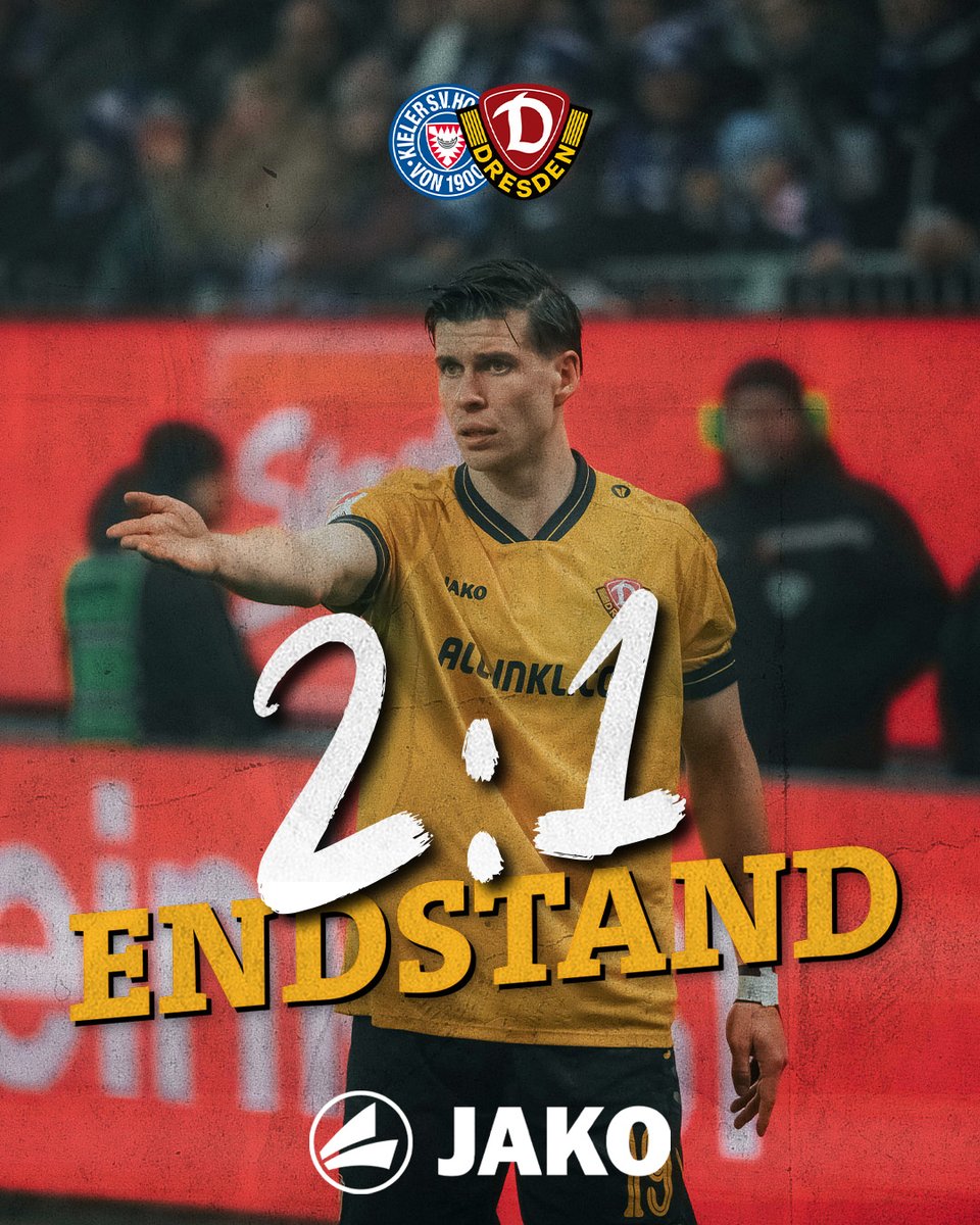 SG Dynamo Dresden tweet media