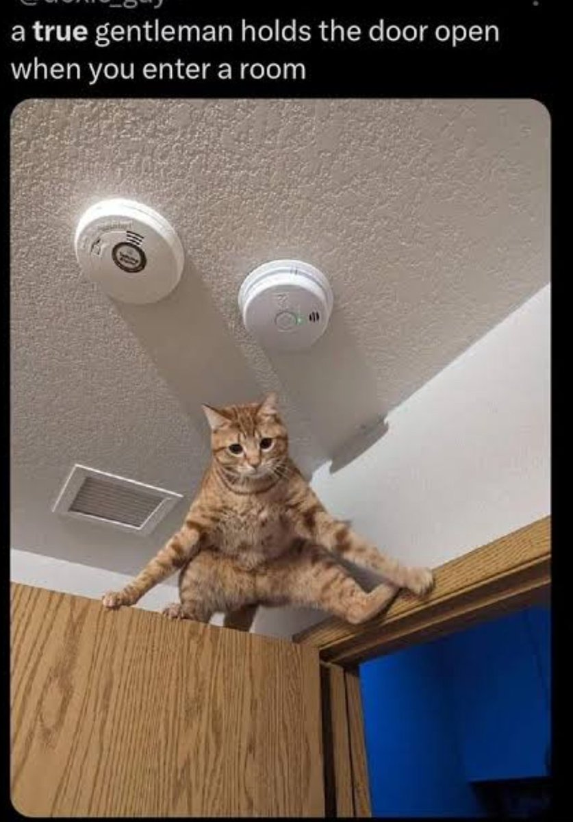 亲爱的朋友们，早上好！🌞🌄🌞 周日快乐！祝大家周末愉快、平静、和谐！😊😊  祝您身体健康💪、好运连连🍀、财源滚滚💰、幸福满满😊。尽情享受这美好的周末吧！别忘了跟圣诞老人安德鲁打个招呼哦！🙏🙏🌹🌹🥰🥰♥️❤️❤️❤️❤️❤️❤️❤️❤️❤️❤️❤️  真正的 ...