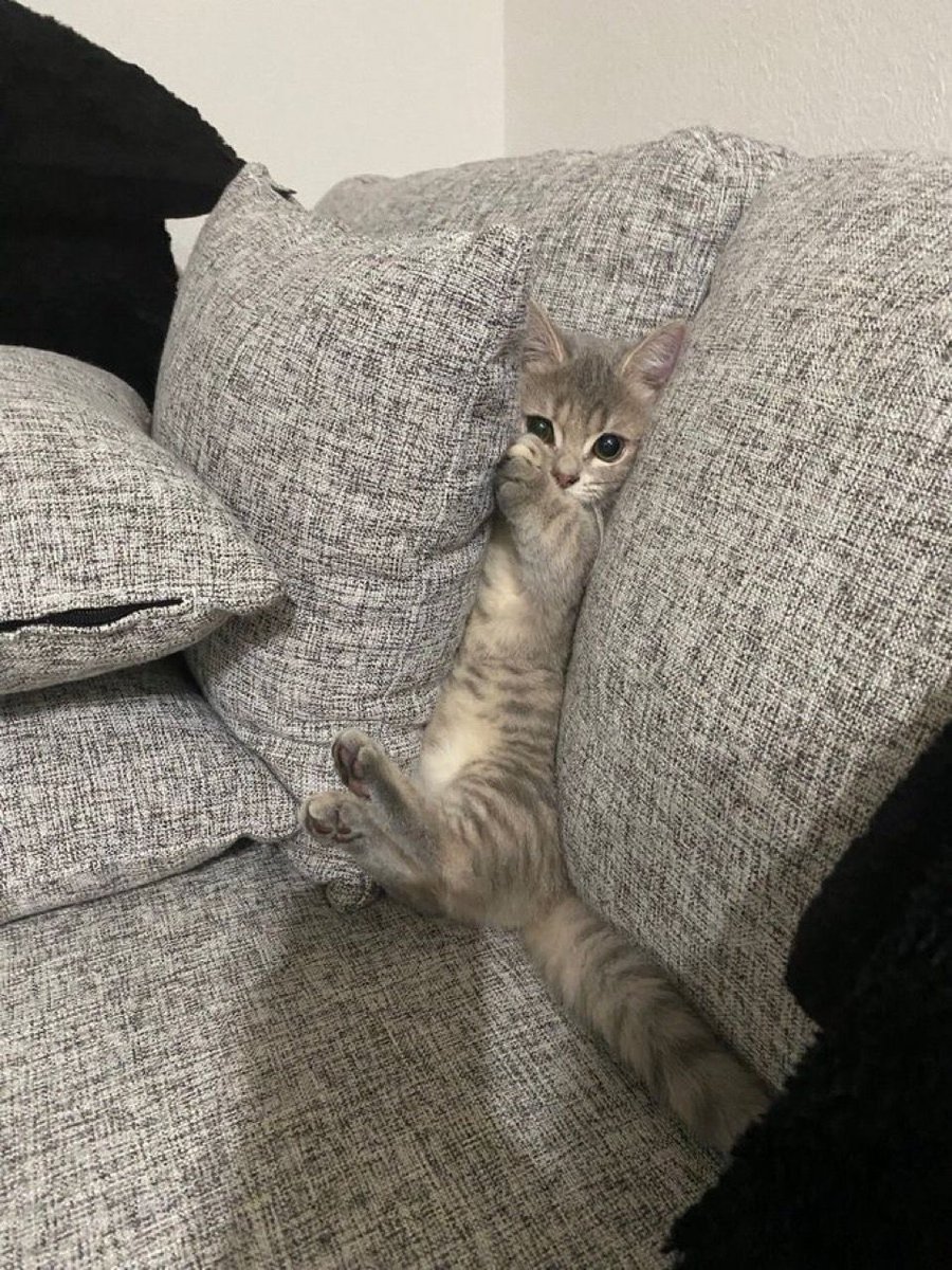 positive side of X 🌞 tweet media