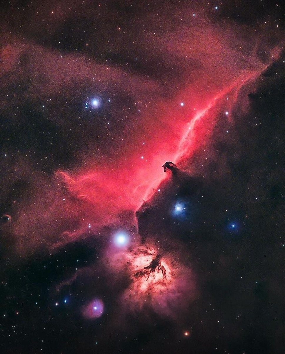 NightSkyToday's tweet photo. The Horsehead Nebula! https://t.co/yG6HEzdI8p