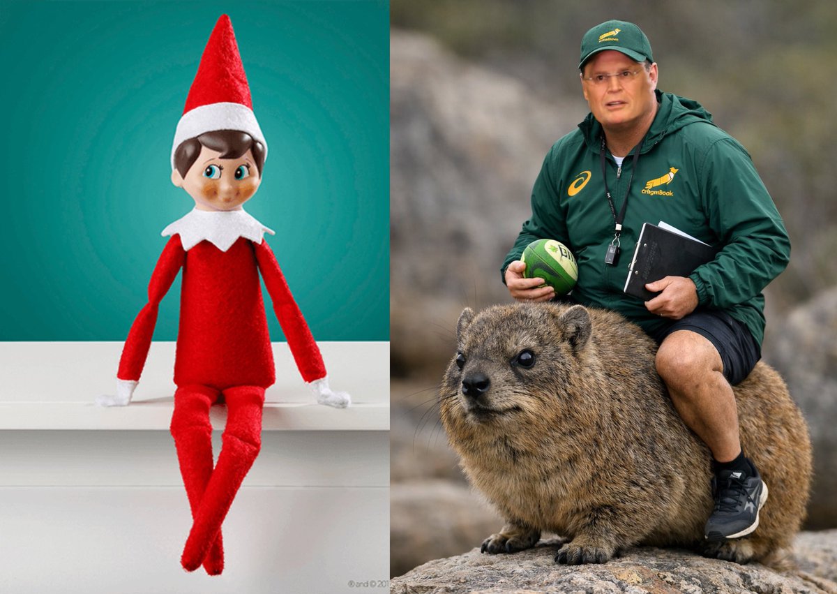 Only South Africans will get this! 🇿🇦🏉

<a href="/RassieRugby/">Johan Erasmus</a> <a href="/Springboks/">Springboks</a> #elfontheshelf #MerryChristmas2025