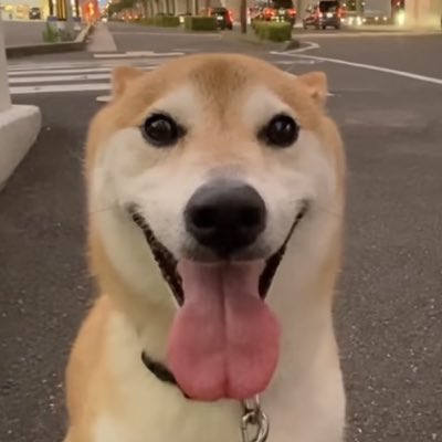 Le man simple tweet media