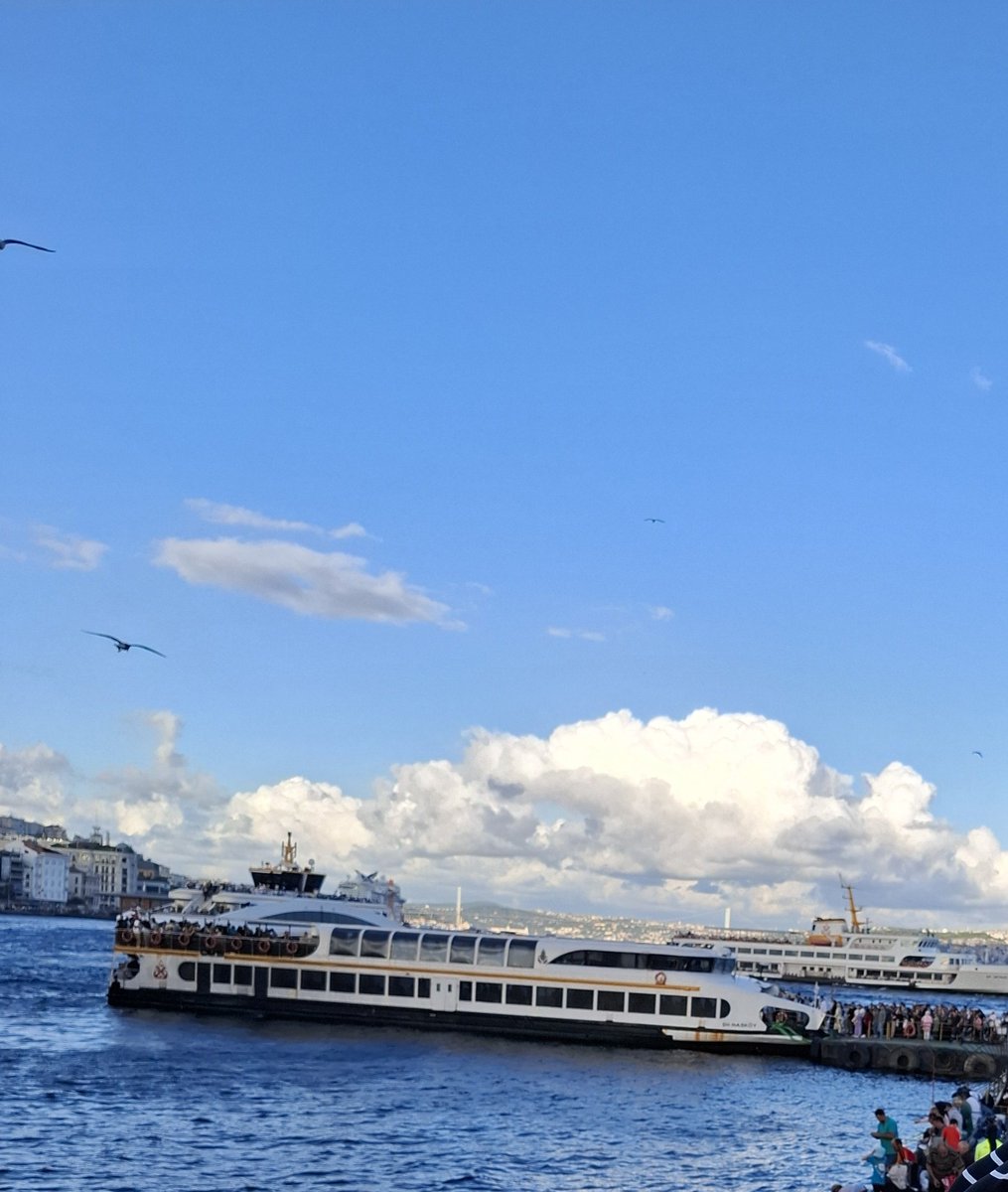 Deniz gibiydim ben;
Yuttum herşeyi!..
Manzaraydı tek derdiniz!..
Dalgalarımın sebebini bir kez bile öğrenmek istemediniz ! 

#iyigeceler
💫