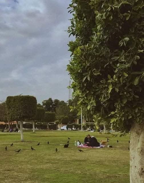 ألا ينتهي
الأُنس بالأَحِبّة
وأن نَبقى للأبد
نستظل بهم
ونُظلّلهم
ونحيا في جوارهم