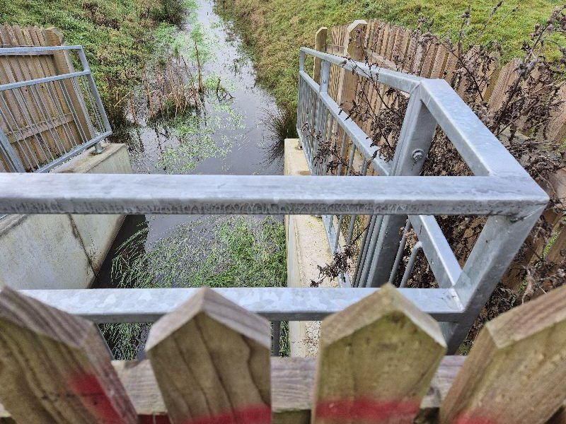 Buttercups & Bullrushes tweet media