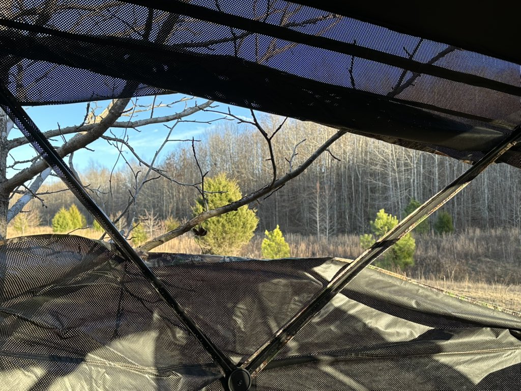 Steve Olivas tweet media