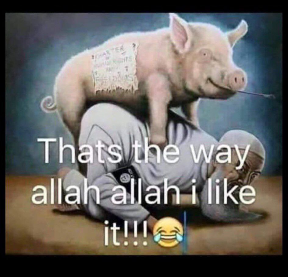 Octawiann's tweet photo. @WHLeavitt pigs https://t.co/2IKD2T6Ys2