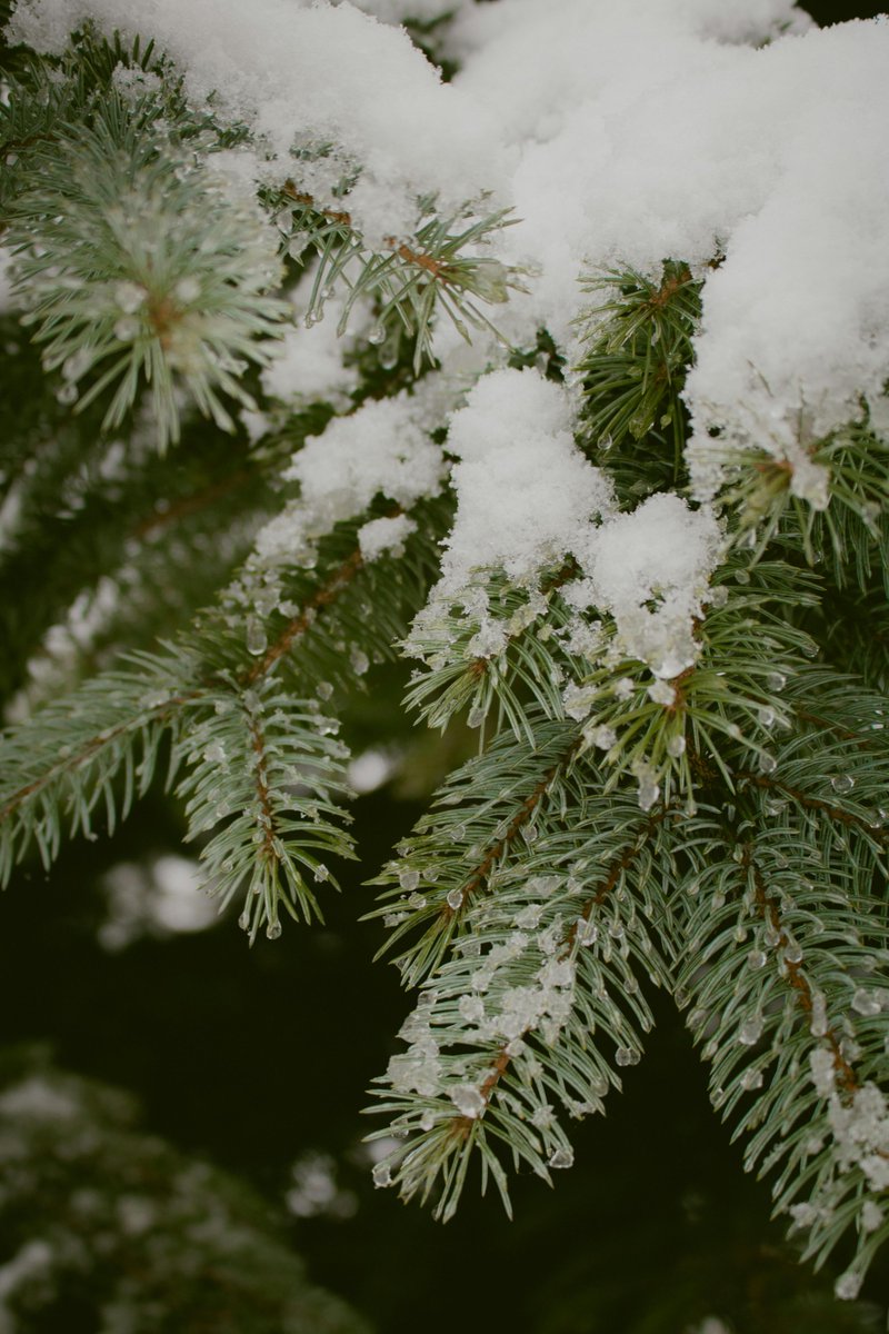 healthyathomeco's tweet image. ❄️ First day of wintertime to slow down, stay warm, and care for yourself at home. Comfort and peace of mind matter in every season.
 
livinghealthyathomeco.com

#FirstDayOfWinter #WinterWellness #HealthyAtHome #CozyLiving #ComfortAtHome #PeaceOfMind #WinterCare #WellnessLifestyle