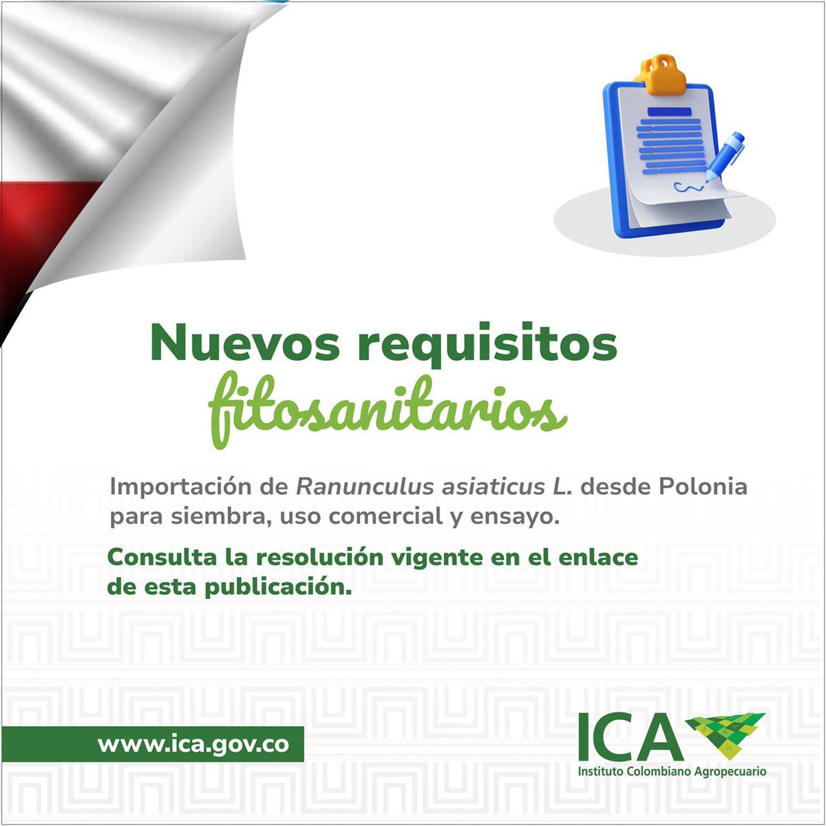 🇨🇴 Colombia abre sus puertas a nuevas oportunidades para el cultivo responsable.

Fortalecemos la sanidad vegetal del país y acompañamos a quienes sueñan con ver florecer cada proyecto.

Te invitamos a conocer los nuevos requisitos fitosanitarios para la importación de plantas in