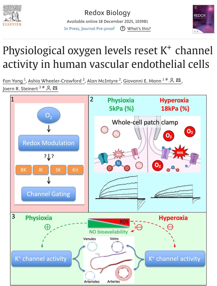 Joern R Steinert tweet media