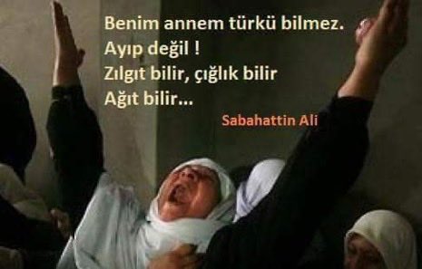 Ağıtlar dağları deldi göz yaşı denizleri taştı bir annenin çığlığı fırtına oldu.Geceleri herkes uyurken yürekleri bir yanar dağ gibi acı hüzün özlem dert keder dolar Bu ülkede anne olmak