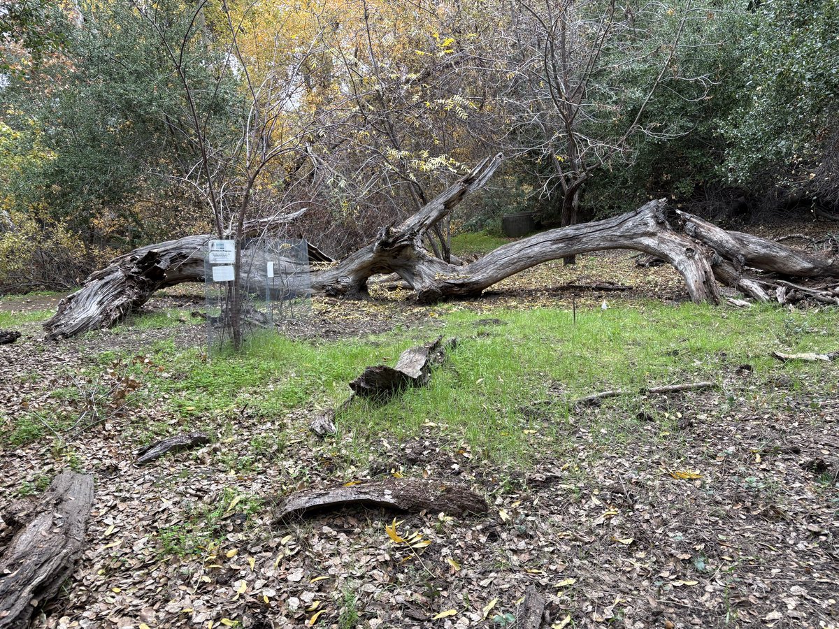 JunliuMe's tweet photo. #mcclellan02 Monitor HABIT restoration https://t.co/WEuLAkFwBq