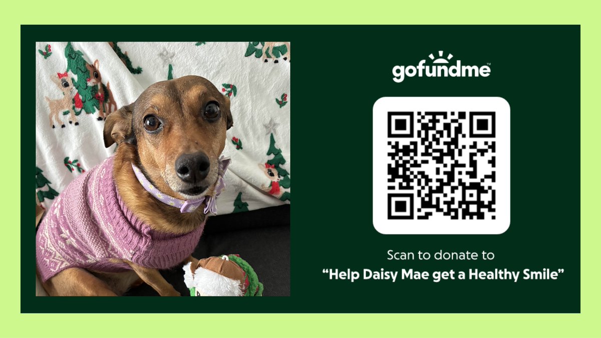 HELLO EVERYONE!!!! So bit of an Impromptu Stream today as I’m continuing to raise awareness for my dogs Dental Surgery. So for people’s entertainment I’ll be playing #GTAOnline with friends for the rest of today! So be sure to join for the fun!

twitch.tv/crossing_into_…