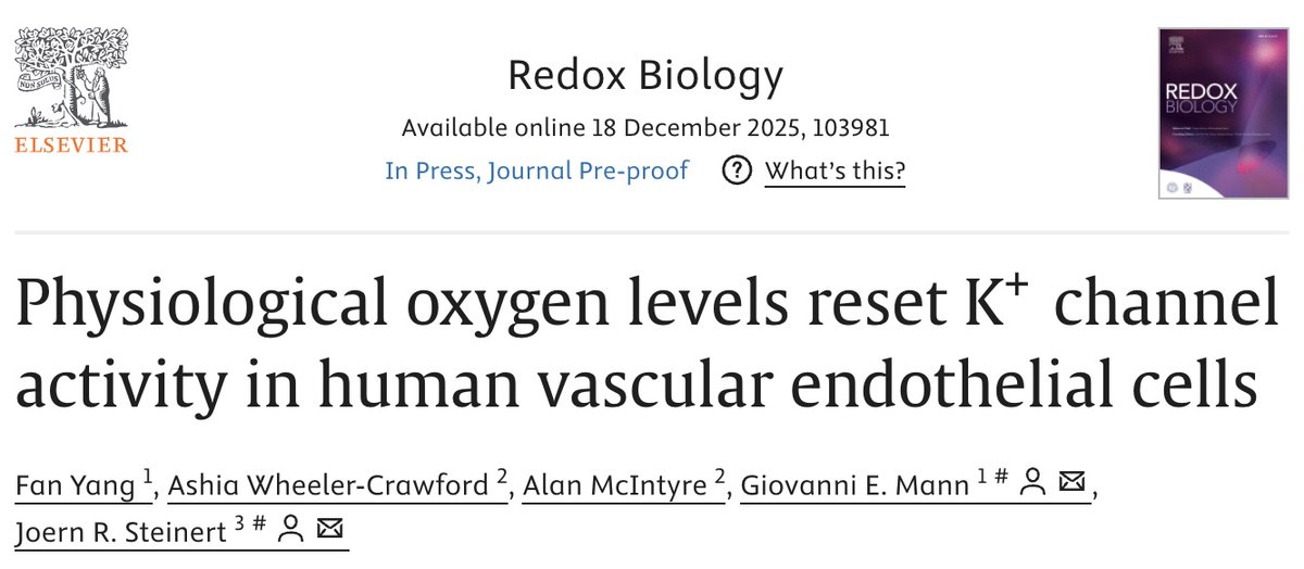 Joern R Steinert tweet media