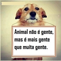 Edson martins💚💚💚 (@bao_ou_nao) on Twitter photo 